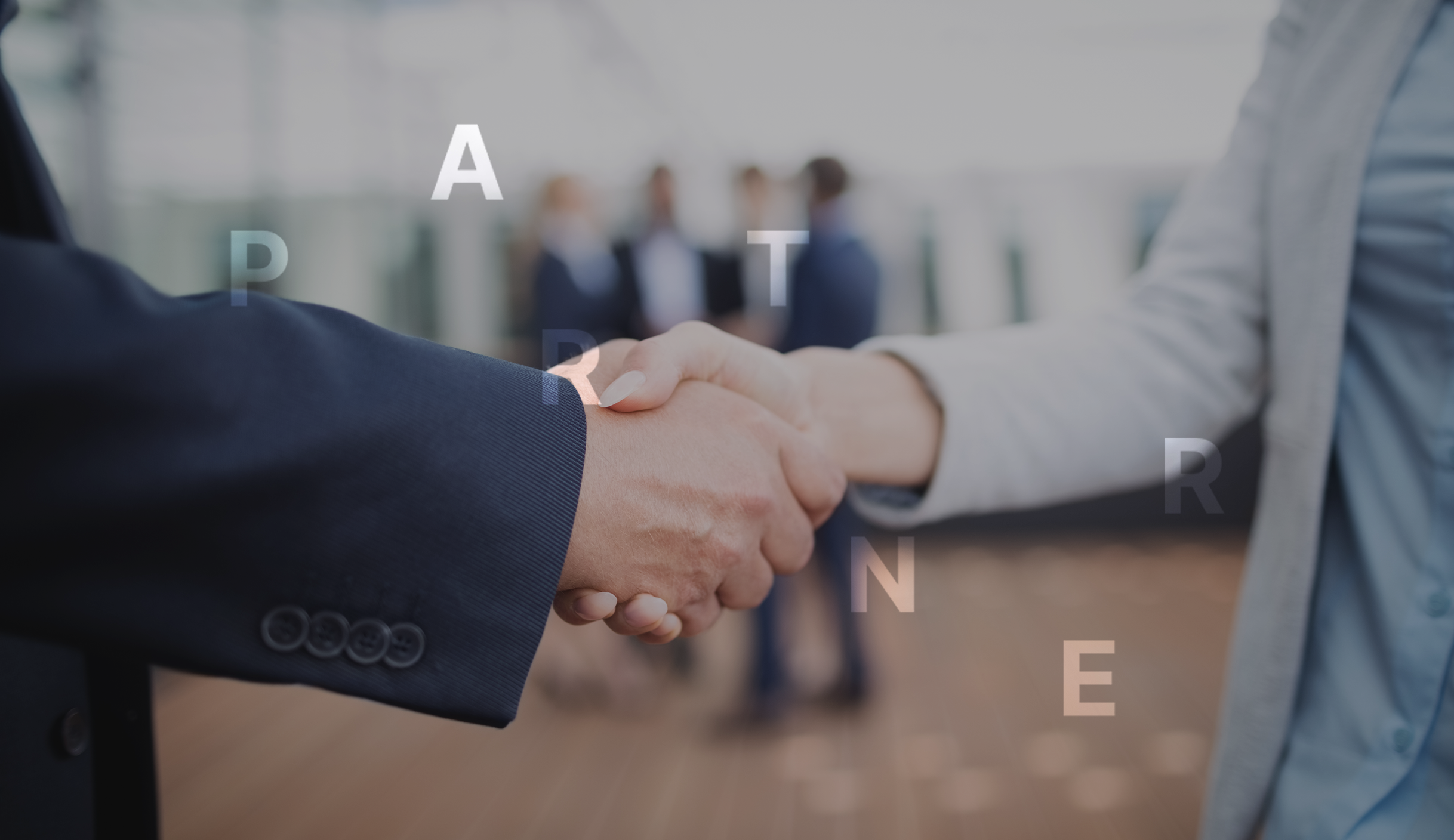 Our Partners