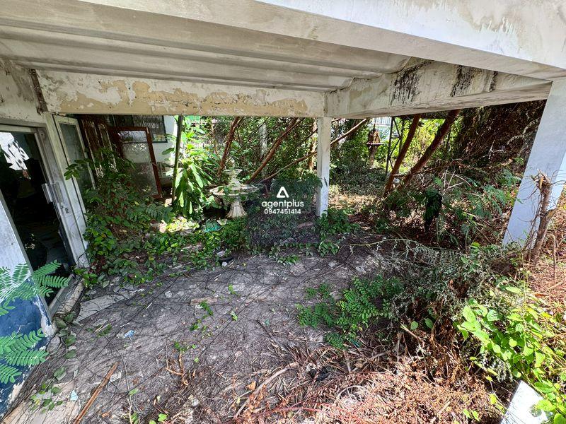 ขายที่ดิน ใจกลางเมือง พัทยากลาง