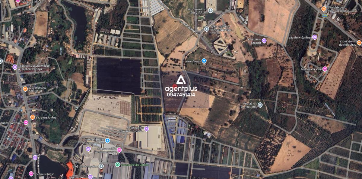 *ขายที่ดินติดสวนนงนุช ขายต่ำกว่าราคาประเมิน นาจอมเทียน ชลบุรี