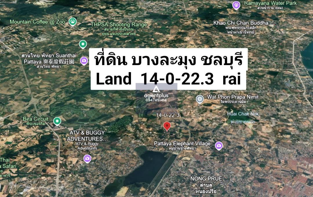 ขายที่ดิน 14-0-22.3 ขนาดใหญ่ใจกลางหนองปรือ – บางละมุง, ชลบุรี