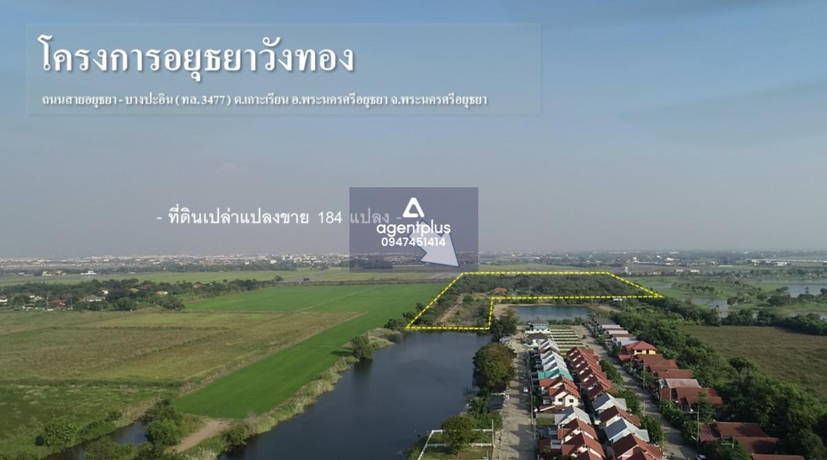 ขายที่ดินเปล่า ทำเลดี อยุธยาวังทอง เหมาะสำหรับสร้างบ้านหรือจัดสรรทำธุรกิจส่วนตัว