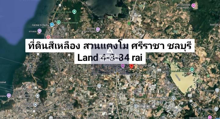 *ขายที่ดินสวนแตงโม ศรีราชา ชลบุรี วิวภูเขา แปลงสวย