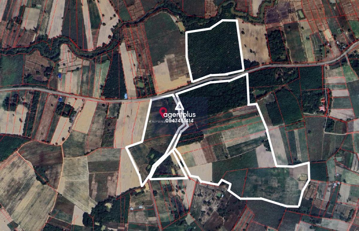 ขายที่ดินแปลงใหญ่ บ้านฝาง สระใคร หนองคาย