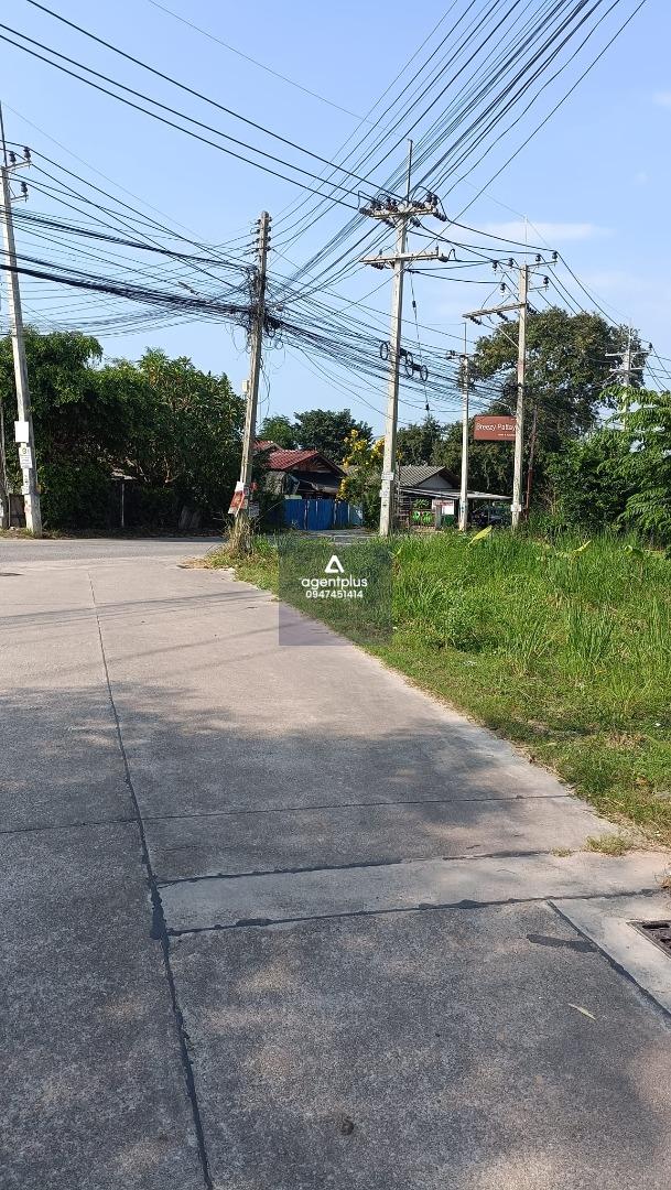 ขายที่ดินเปล่า ซอยหนองกระบอก ทุ่งกลม ตาลหมัน เมืองพัทยา