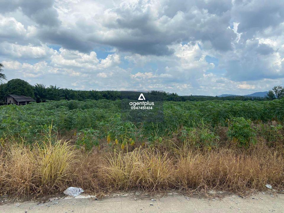 ขายที่ดิน 42ไร่  พื้นที่สีม่วง ,ศรีราชา ,ชลบุรี