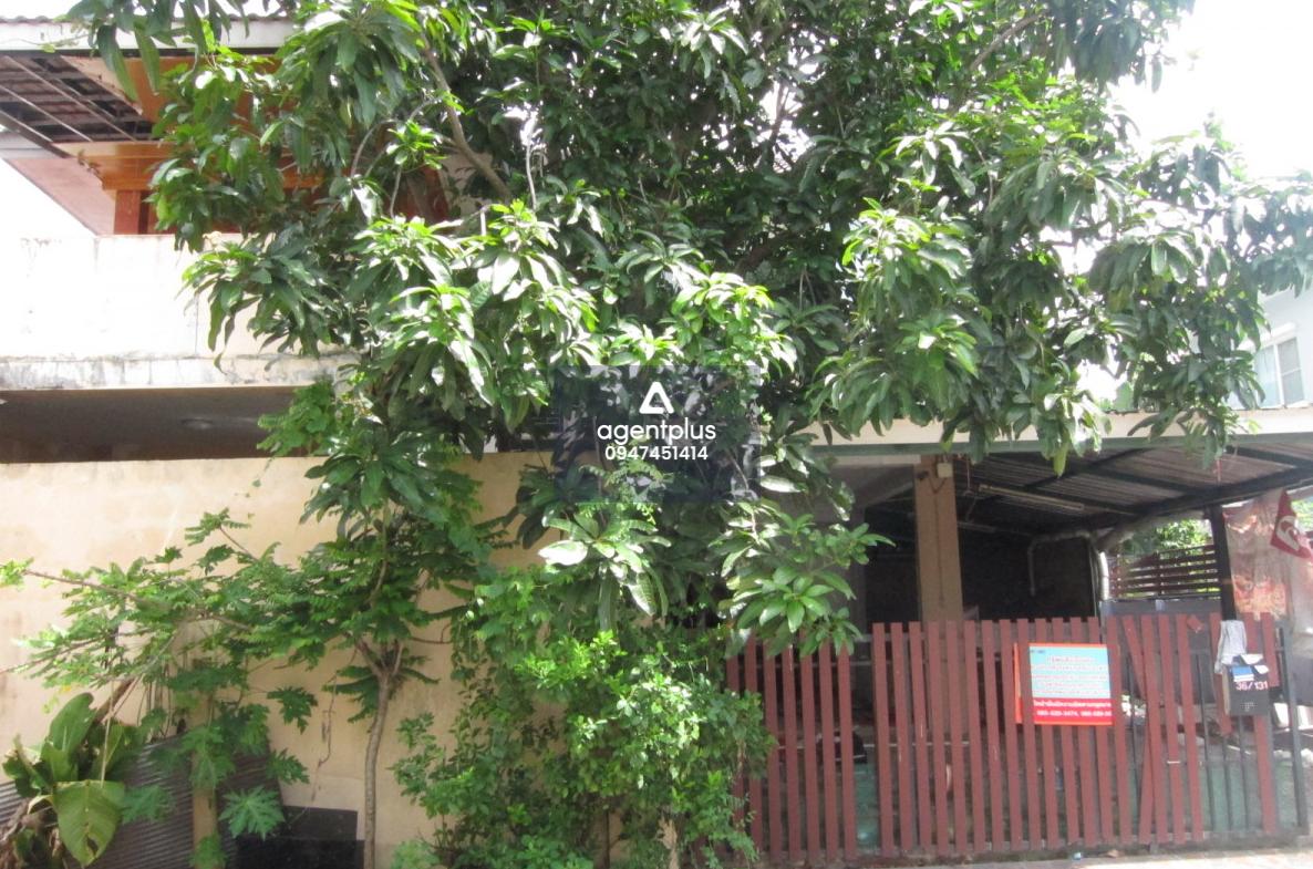 ขายบ้านเดี่ยว 2 ชั้น โครงการพฤกษาวิลเลจ 29 รังสิต-คลอง 3