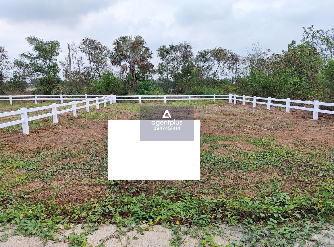 ขายที่ดินเปล่า ทำเลดี อยุธยาวังทอง เหมาะสำหรับสร้างบ้านหรือจัดสรรทำธุรกิจส่วนตัว