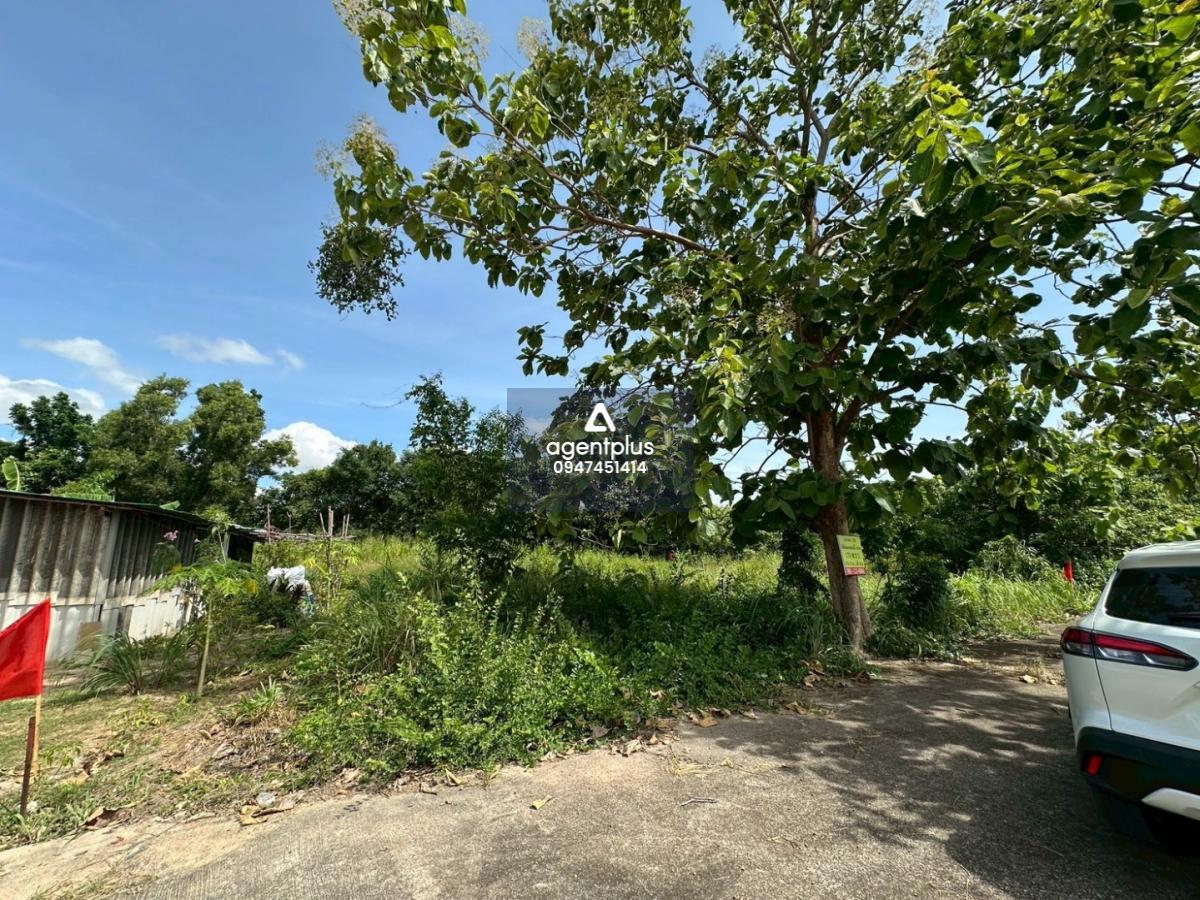 ขายที่ดินในห้วยใหญ่ แปลงสวย ทำเลสงบ