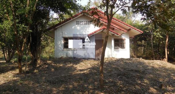 ขายบ้านเดี่ยวชั้นเดียว โครงการเขาสวนกวางรีสอร์ท ขอนแก่น ทำเลดีแหล่งชุมชน