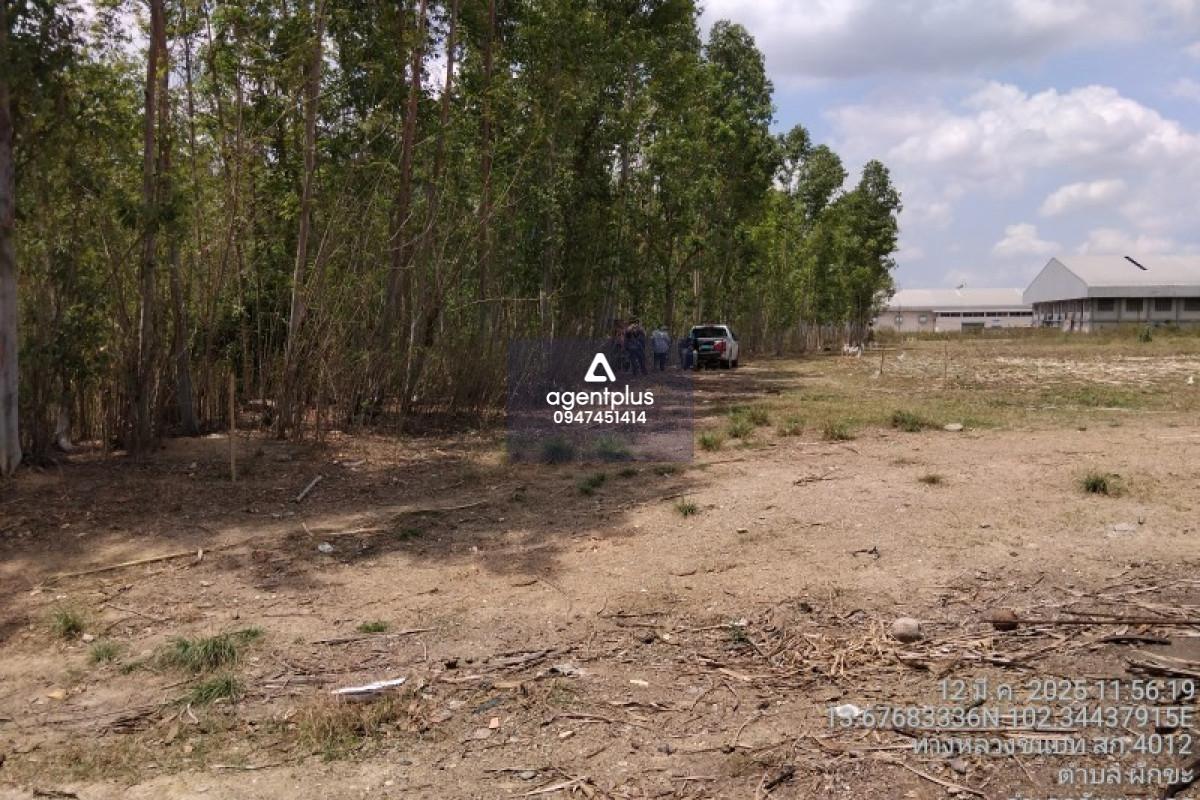 ขายที่ดิน บ้านโนน หนองใหญ่ วัฒนานคร สระแก้ว