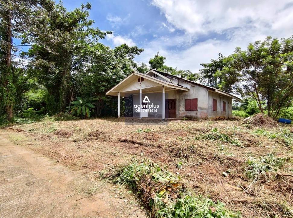 บ้านเดี่ยวชั้นเดียว ใกล้ซอยวังปลา 2 สภาพโดยรอบเป็นสวนยาง ห่างจากถนนสุขุมวิทประมาณ 1.3 กิโลเมตร สาธารณูปโภคครบครัน