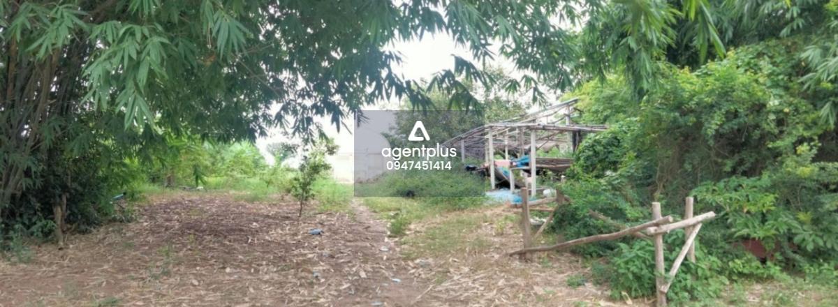 บ้านเดี่ยวชั้นเดียว ลักษณะเป็นที่ดินพร้อมสิ่งปลูกสร้าง ทำเลดีติดถนน สภาพแวดล้อมโดยรอบเป็นพื้นที่เกษตรกรรม เดินทางเข้า-ออกได้สะดวก ใกล้แหล่งอำนวยความสะดวก