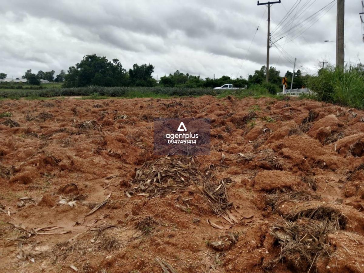 * ขายที่ดินติดถนนเขาไม้แก้ว บางละมุง ชลบุรี