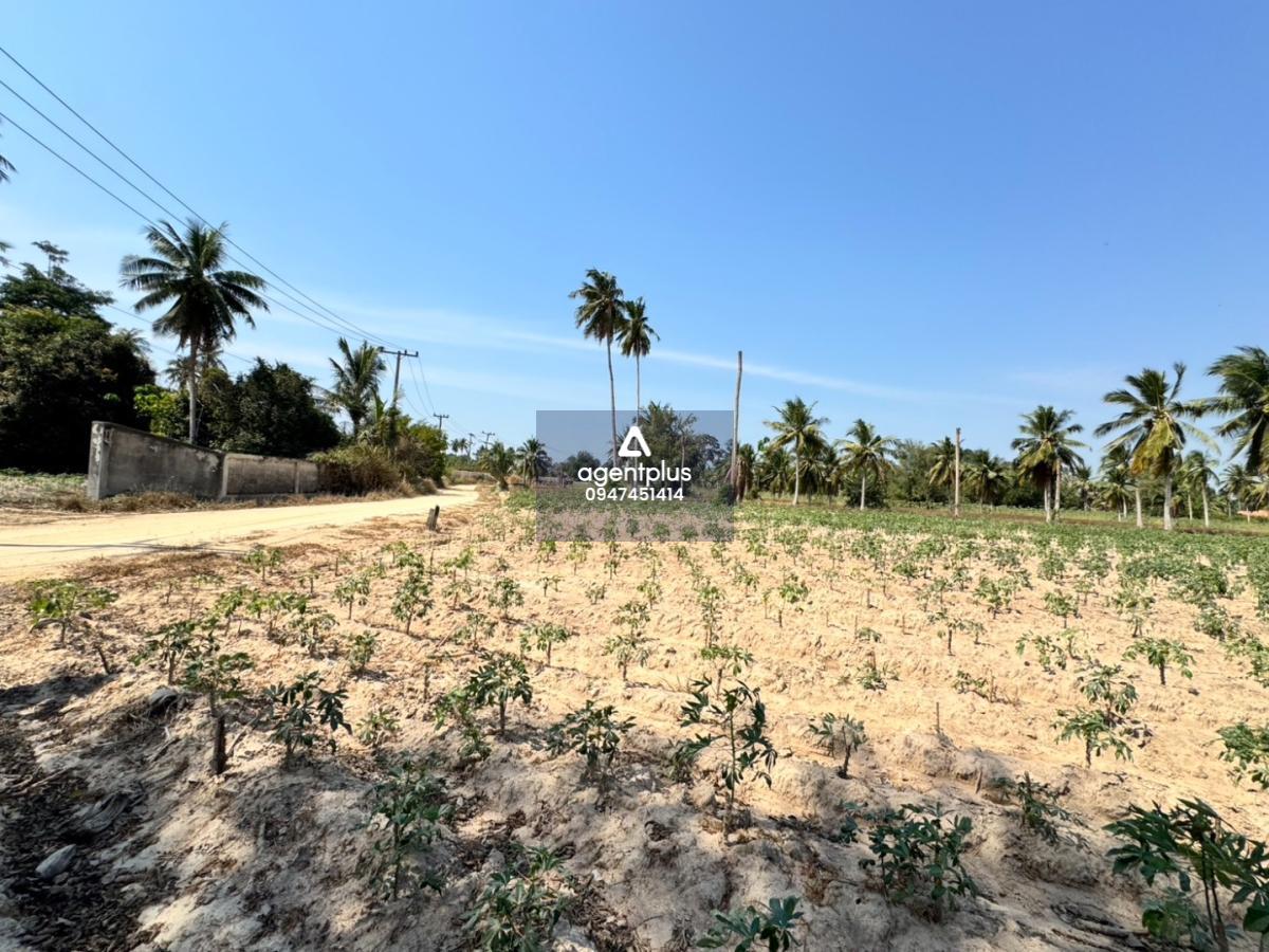 ขายที่ดินแปลงสวย ด้านหน้าติดถนน ห้วยใหญ่ บางละมุง ชลบุรี พัทยา