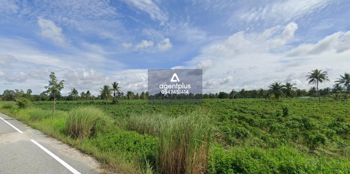 ขายที่ดินสวย ห้วยใหญ่ พัทยา ติดทางด่วน กรุงเทพ-ระยอง