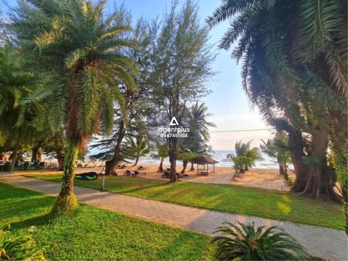 ไพน์ชอร์ส คอนโดมีเนียม พัทยา