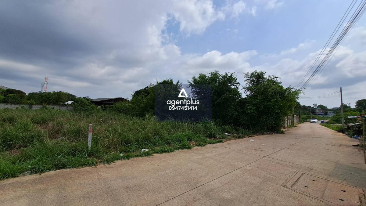 ขายที่ดินใกล้ทะเล บางเสร่ สัตหีบ ชลบุรี