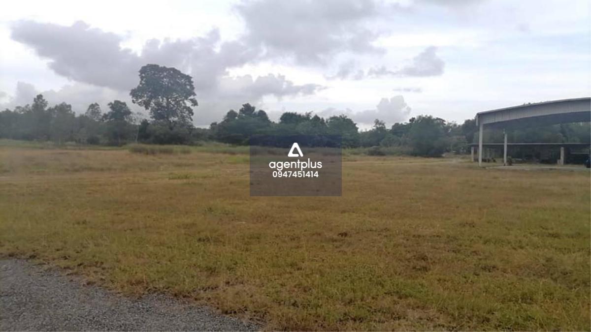 ขายที่ดิน ใกล้สนามกอฟล์ฟีนิกซ์ นาจอมเทียน ชลบุรีราคาพิเศษ