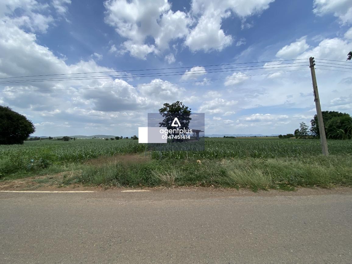 ขายที่ดินเปล่า สระบุรี พื้นที่กว้าง เหมาะลงทุน หรือสร้างโครงการในอนาคต