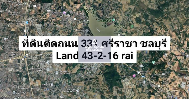 ให้เช่าที่ดินสีม่วงลาย ติดถนน 331 ศรีราชา ชลบุรี