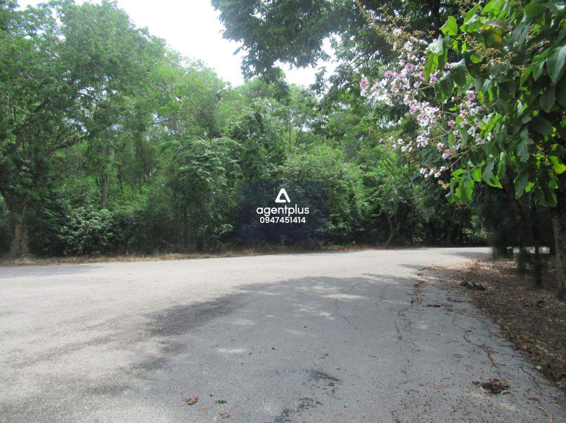 ขายที่ดินเปล่า อยู่ติดสนามกอล์ฟไดนาสตี้ ทำเลศักยภาพ เหมาะสำหรับลงทุนหรือพัฒนาโครงการ เดินทางเข้า-ออกสะดวก ใกล้แหล่งชุมชน วัดดอนสามสิบ โรงเรียนวัดลานคา เทศบาลตำบลบางเลน