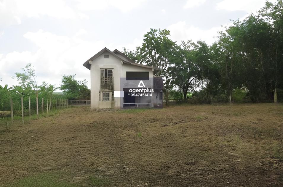 ขายบ้านเดี่ยวชั้นเดียว โครงการแกรนด์วัลเลย์ บางละมุง ทำเลดีใกล้ถนนสายบางละมุง-ระยอง (ทล.36)