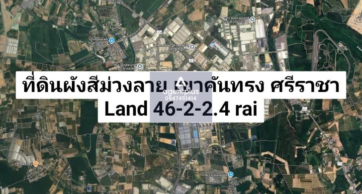 *ขายที่ดินผังม่วงลาย เขาคันทรง ศรีราชา ชลบุรี