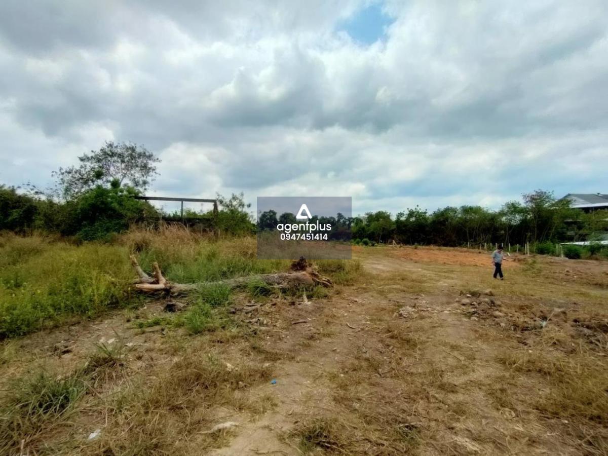 ขายที่ดิน ทำเลทอง ใกล้ทะเล ใกล้ถนนสุขุมวิท นาจอมเทียน พัทยา