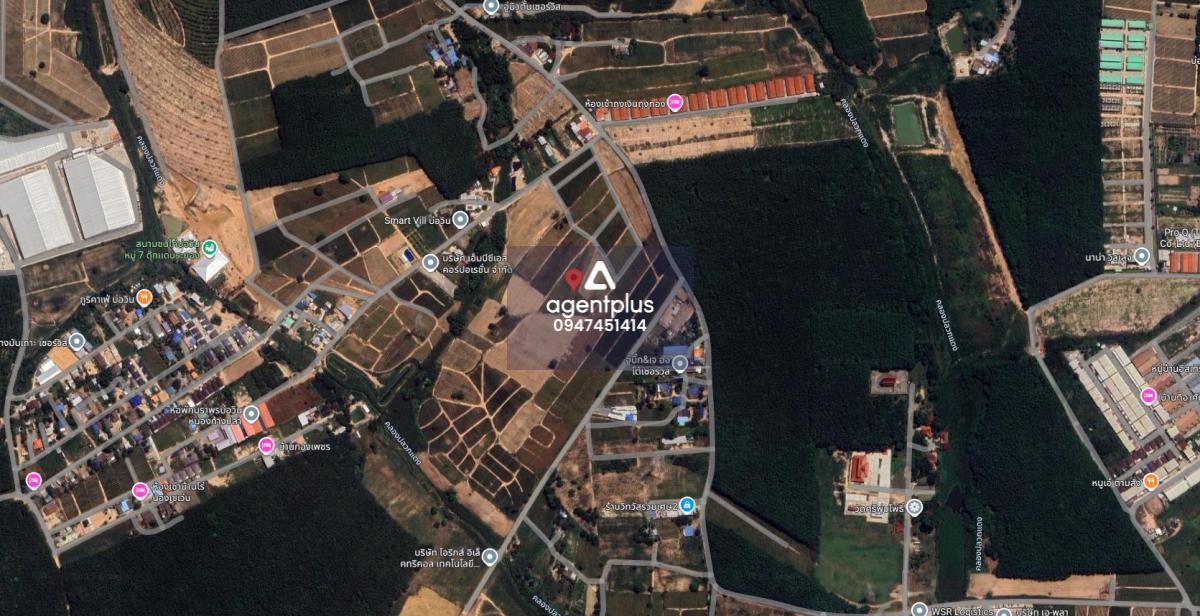 ขายที่ดินในเขตชุมชน ที่ดินใหญ่ ปลวกแดง ระยอง