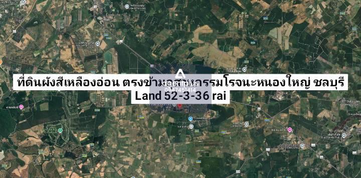 ขายที่ดินยกแปลง ติดถนนคอนกรีต ตรงข้ามอุตสาหกรรม พนัสนิคม ชลบุรี