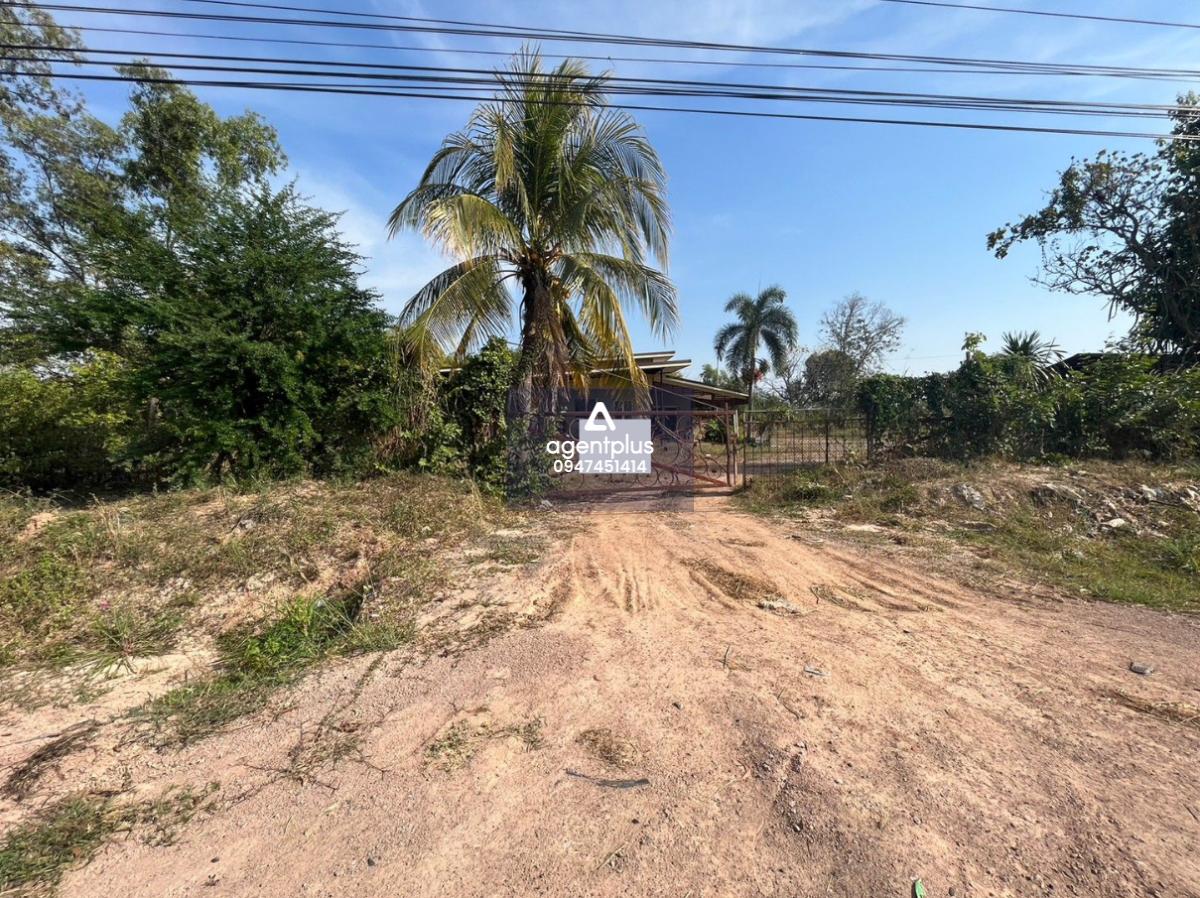 ขายที่ดินเปล่าพร้อมสิ่งปลูกสร้าง – น้ำใส ร้อยเอ็ด ทำเลดี ราคาคุ้มมาก!