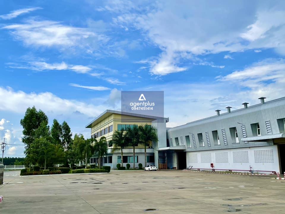 *ขายโรงงานพร้อมที่ดิน ชลบุรี บ่อทอง สภาพใหม่มาก พร้อมใบอนุญาตโรงงาน รง.4