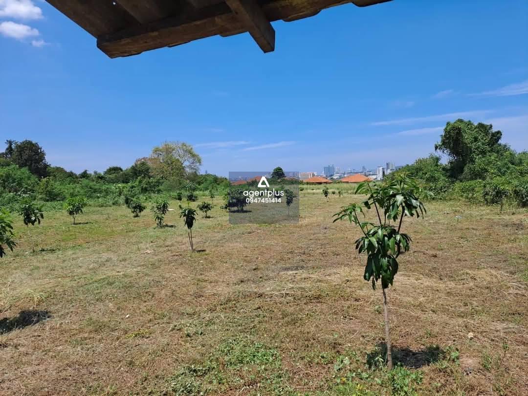 * ขายที่ดิน ซอยบุญสัมพันธ์ เขาตาโล พัทยา