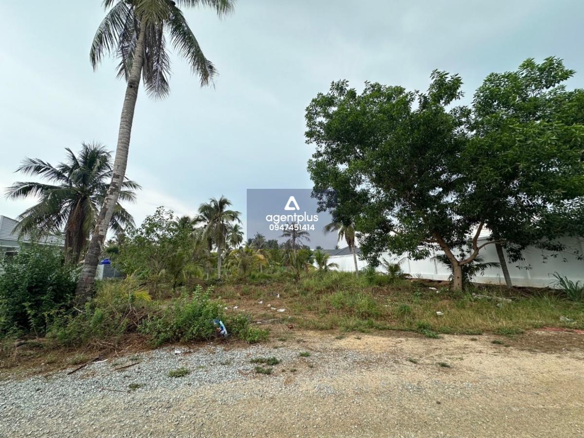 *ขายที่ดิน ห้วยใหญ่ 