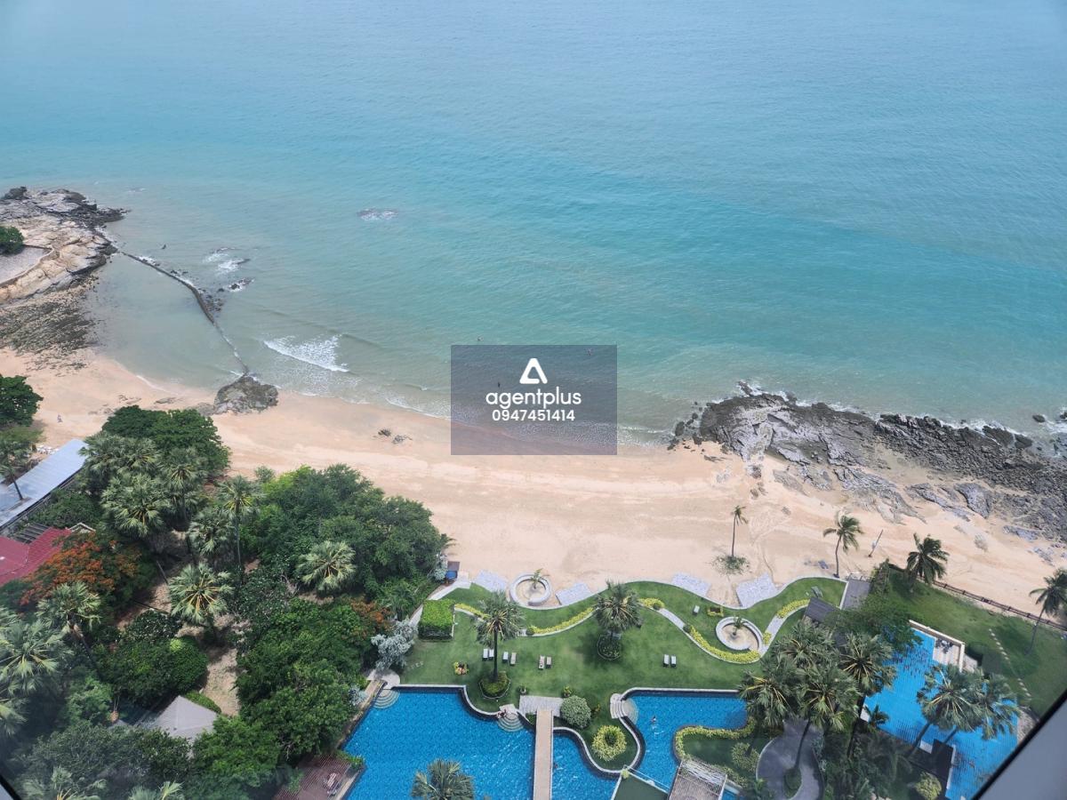 #ขายบีชฟร้อนท์ คอนโด เดอะ ปาล์ม วงศ์อมาตย์ บีช พัทยา  3 ห้องนอน 3 ห้องน้ำ วิวทะเล 