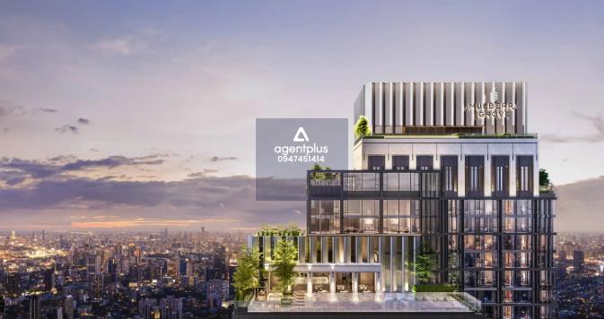 ขายคอนโด มัลเบอร์รี่ โกรฟ สุขุมวิท คอนโดลักชัวรี่ใจกลางสุขุมวิท ใกล้ BTS เอกมัย