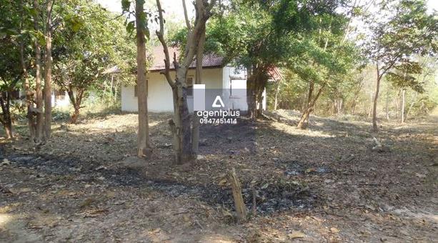 ขายบ้านเดี่ยวชั้นเดียว โครงการเขาสวนกวางรีสอร์ท ขอนแก่น ทำเลดีแหล่งชุมชน