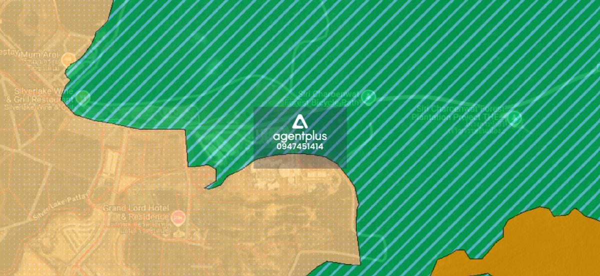 ขายที่ดินใกล้เขาชีจรรย์ ทำเล Silver Lake ติดถนนใหญ่ นาจอมเทียน ชลบุรี