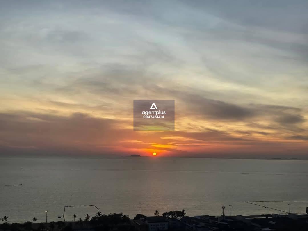 ปล่อยเช่าคอนโด วิวทะเล เดอะ ริเวียร่า จอมเทียน พัทยา