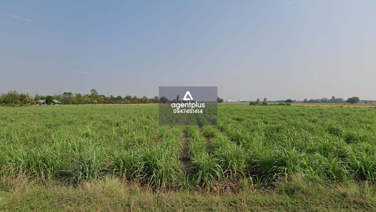 ขายที่ดินแปลงใหญ่ 11-2-55 ไร่ ติดถนน อ.อู่ทอง จ.สุพรรณบุรี