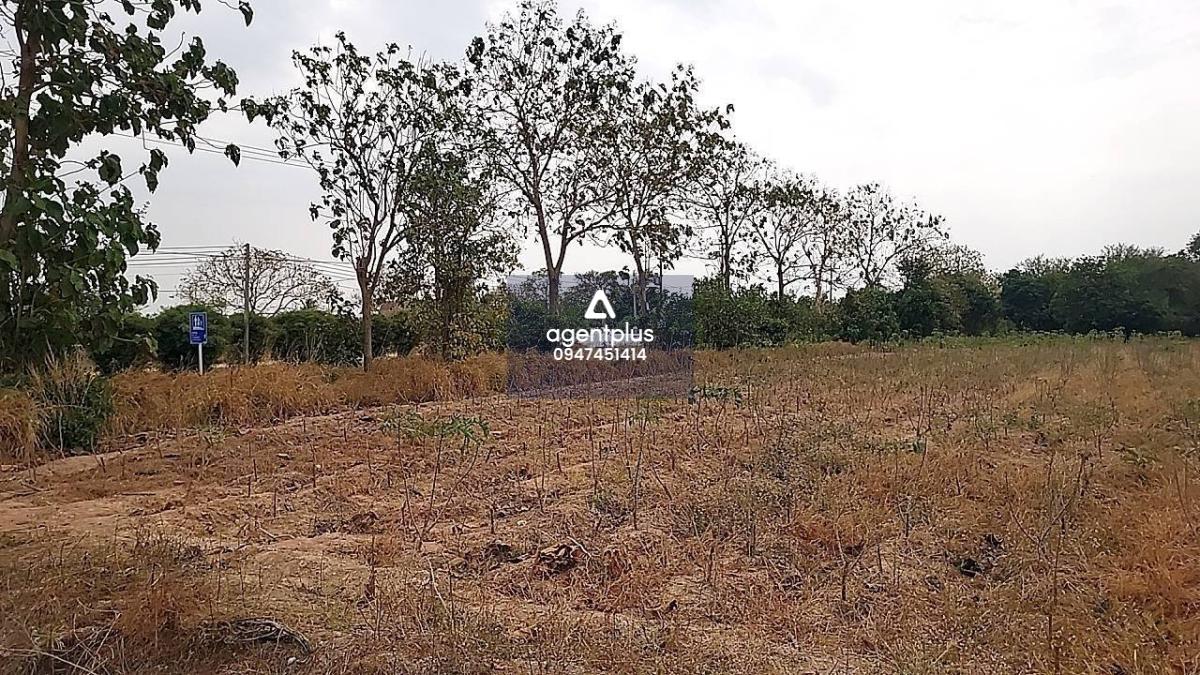 * ขายที่ดิน แปลงใหญ่ ทุ่งกลม ตาลหมัน พัทยา