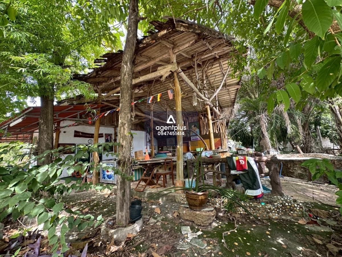 ขายที่ดินติดถนน ทำเลศักยภาพ