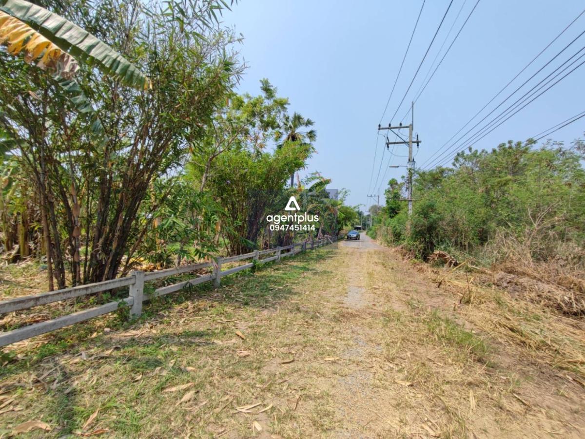 ขายที่ดิน อ.มวกเหล็ก สระบุรี พื้นที่ 363 ตรว. ติดโครงการหมู่บ้านหรู ใกล้สนามกอล์ฟ ราคาน่าลงทุน