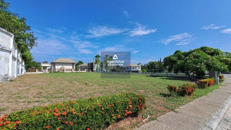 ขายที่ดินเปล่าโครงการติดทะเลพัทยา