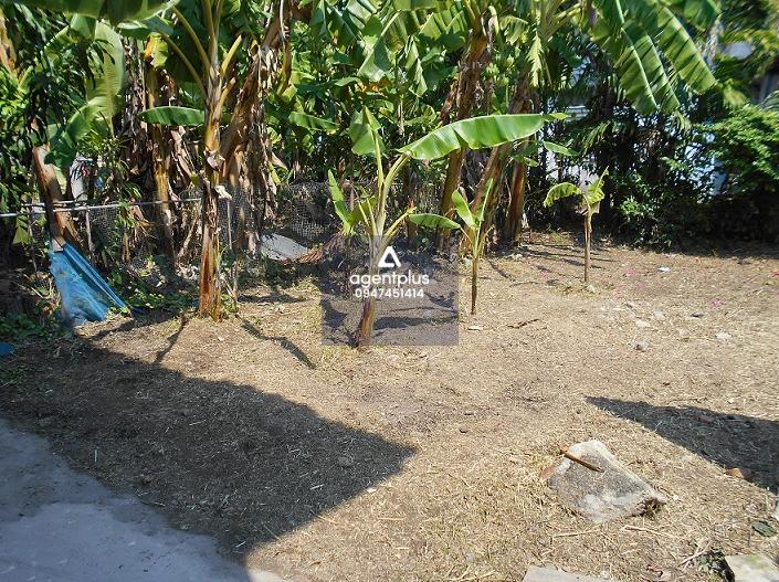 ขายอาคารพาณิชย์ ครึ่งตึกครึ่งไม้ 2 ชั้น 1 หลัง พร้อมที่ดินเปล่า 3 แปลง พร้อมสิ่งปลูกสร้าง 3 หลัง บางซื่อ สาธารณูปโภคครบครัน ซอยวงศ์สว่าง 19