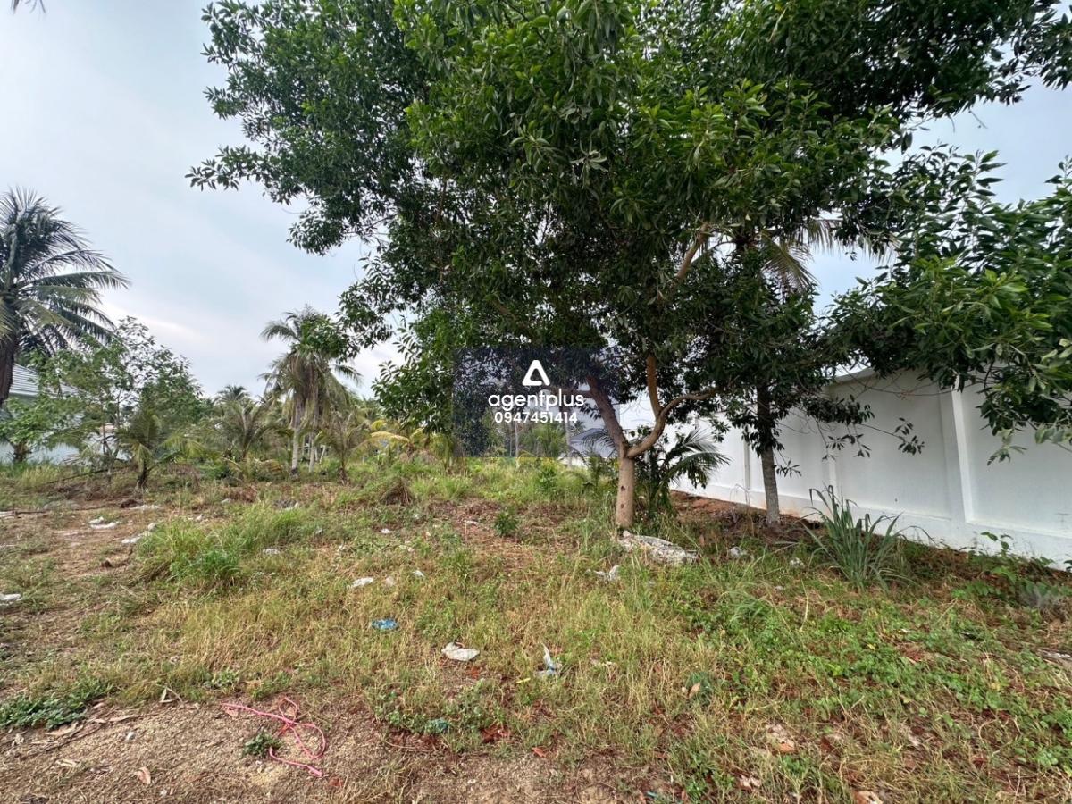 *ขายที่ดิน ห้วยใหญ่ 