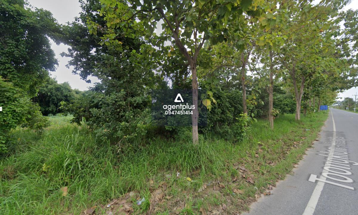 ให้เช่า ที่ดินแปลงใหญ่ 12-3-7 ไร่ ใจกลางหนองปรือ – บางละมุง, ชลบุรี