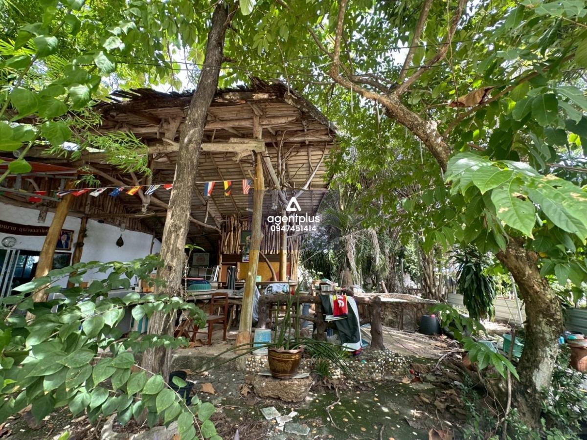 ขายที่ดินติดถนน ทำเลศักยภาพ