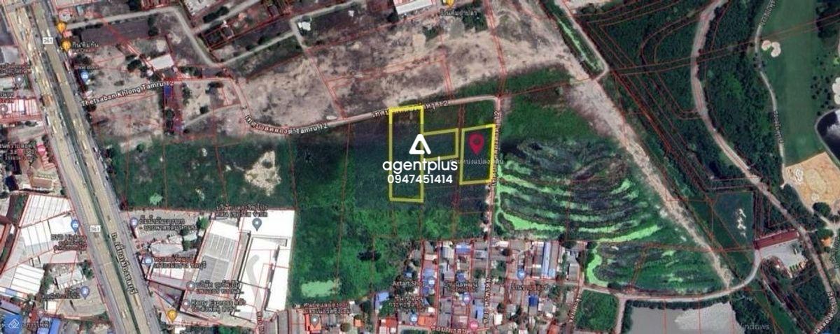 ขายที่ดินยกแปลงใหญ่ ใกล้ถนนเลี่ยงเมืองชลบุรี หนองไม้แดง ชลบุรี