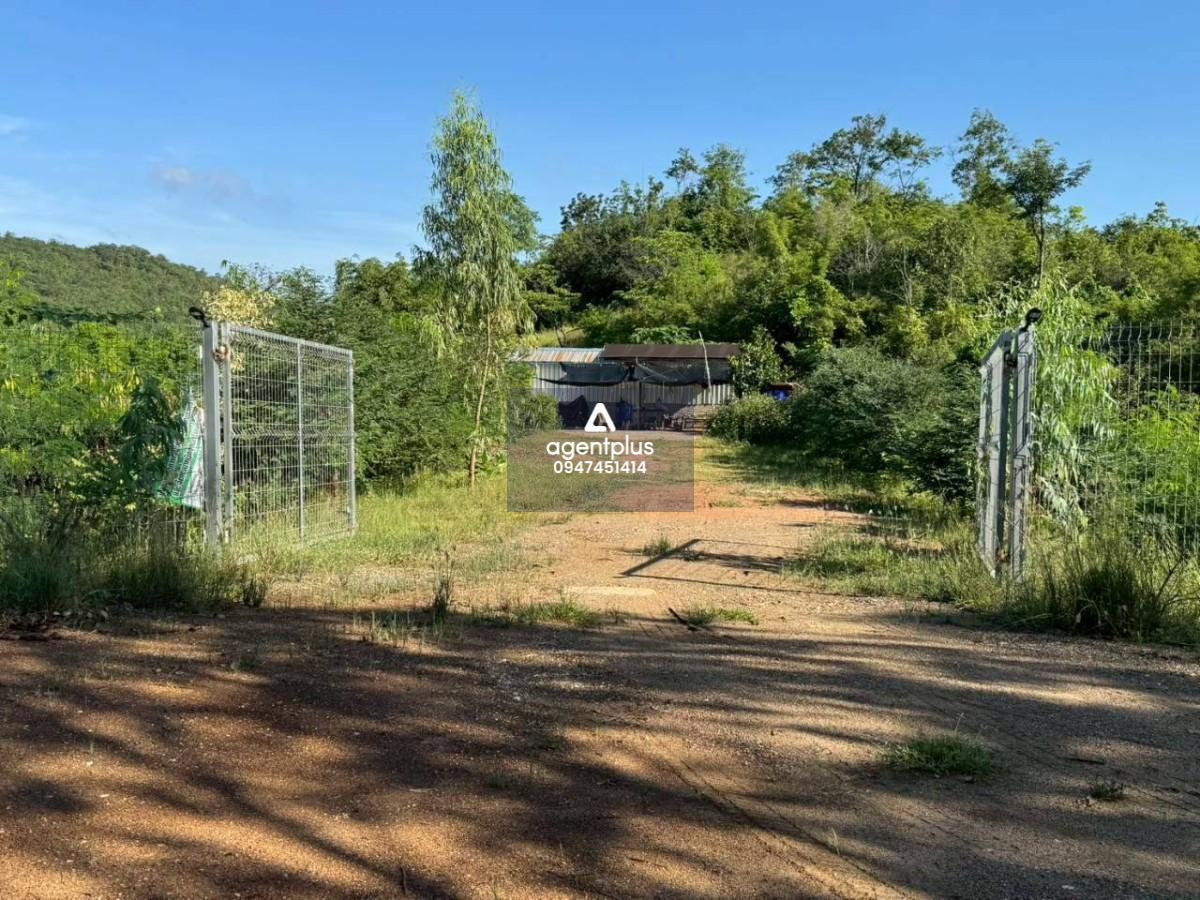 ที่ดิน 66ไร่ติดเขา อ.ห้วยกระเจา พร้อมแปลงไผ่ สระเก็บน้ำและบ้านพักคนงาน